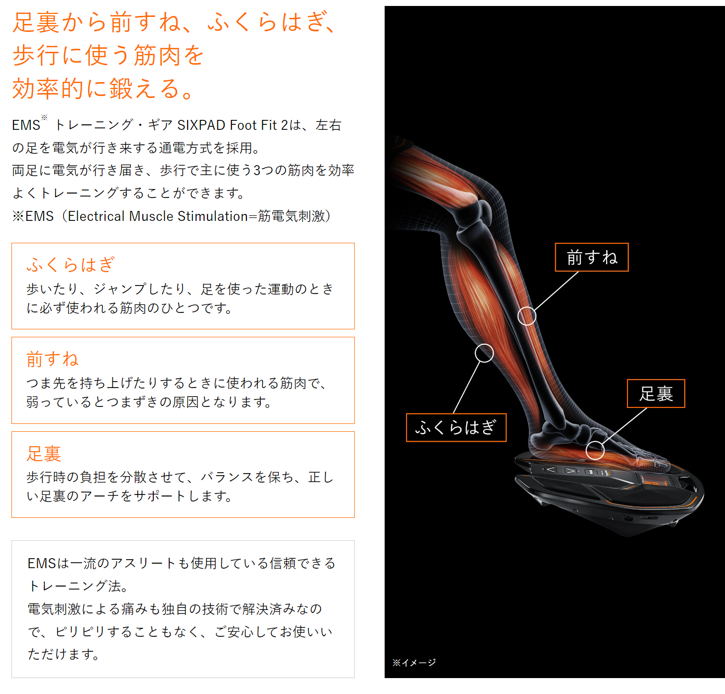 EMSトレーニングギア SIXPAD Foot Fit 2(シックスパッド フット フィット 2)